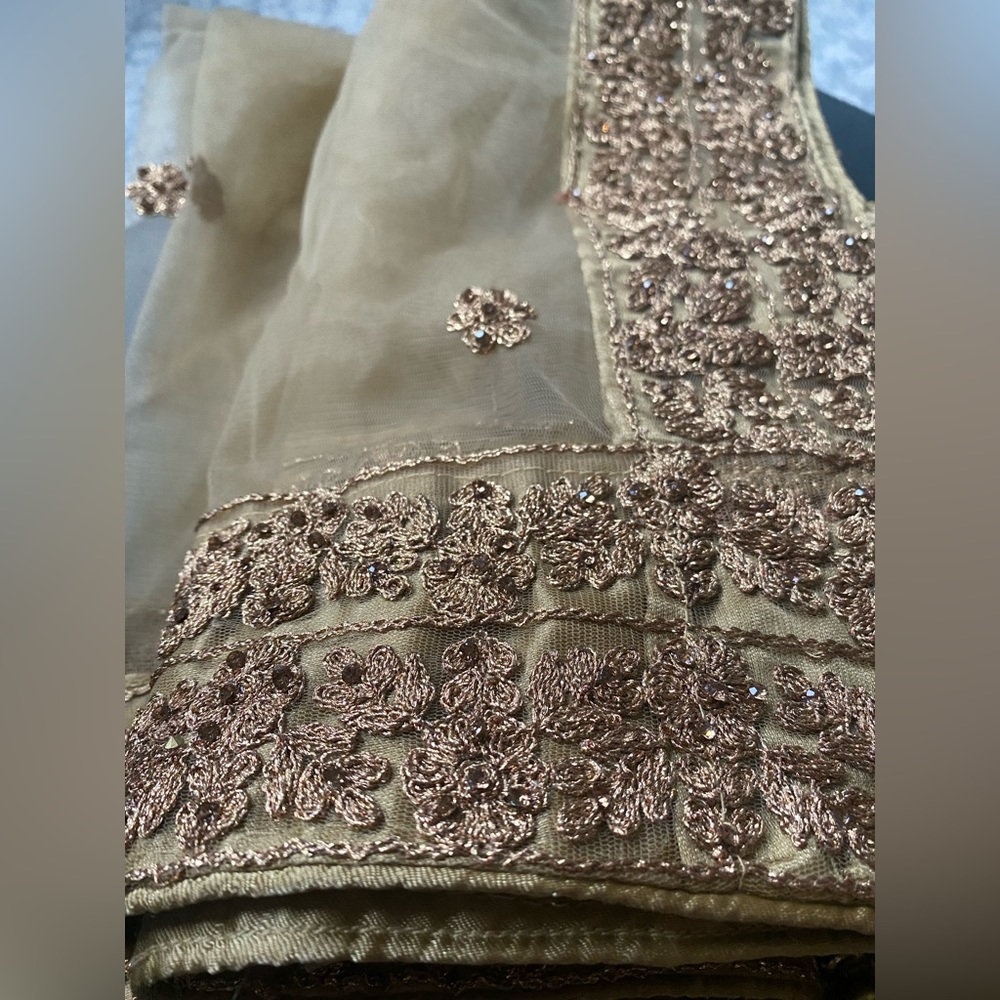 Jewelry Embroidered Gold Saree